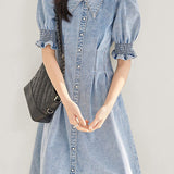 French denim dress